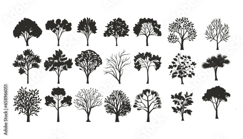 silhuette of trees on transparent background