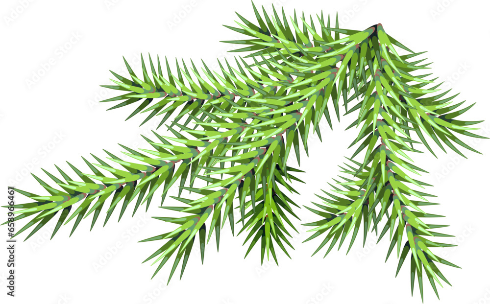 Green fir christmas branch on white background symbol of new year Green fir christmas branch on white background symbol of new year