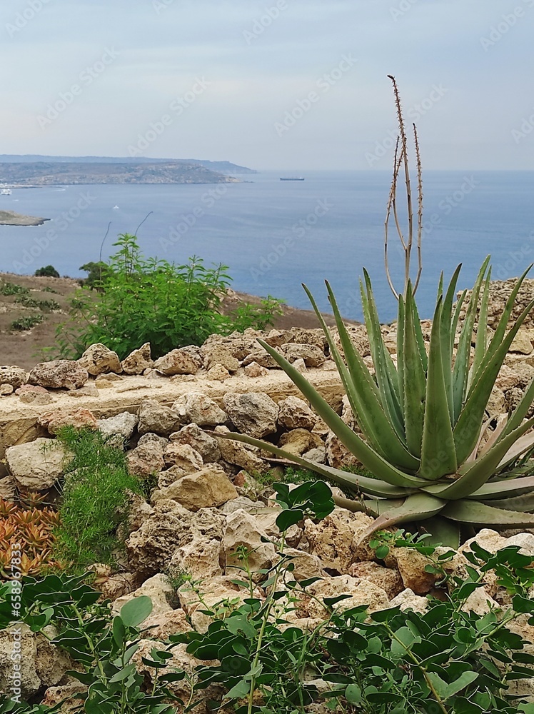 Malte, paysage