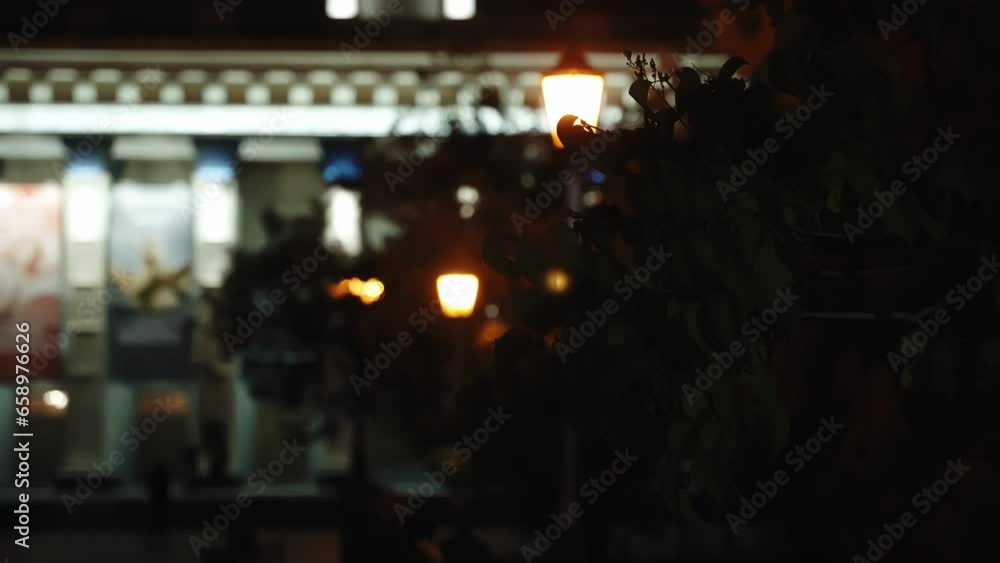 Leaves in autumn night city on the background of a building with illumination. Leaves in autumn night city on the background of a building with illumination.