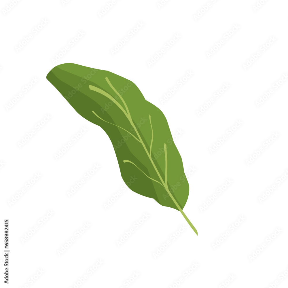 fresh green leave cartoon fresh green leave cartoon