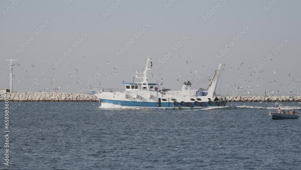 Fishing boat surrounded by seagulls Fishing boat surrounded by seagulls