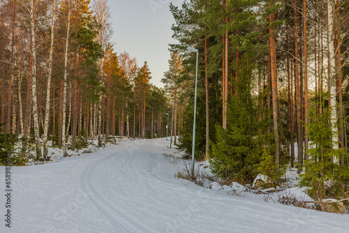 Beautiful view of winter forest with illuminated classic ski track. Sweden.