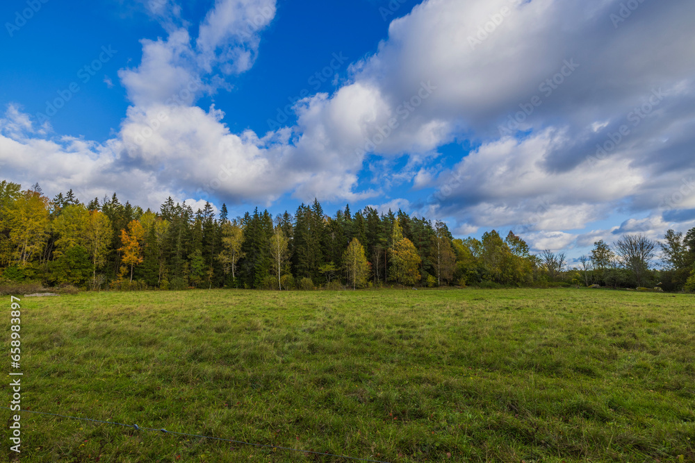 Beautiful view of autumn forest and green field on background of blue sky with white clouds. Sweden.