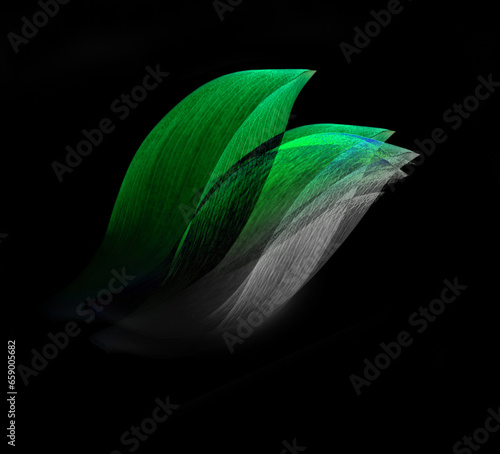 lotus isolated on white background.