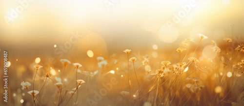 Blurred outdoor background with golden light representing hope and abstract nature vacation in Ramadan #659008487