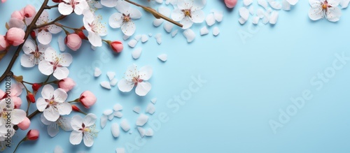 Beauty products and natural elements on blue background Spring skin care layout top view