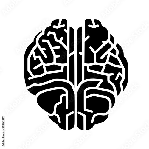 cerebral cortex, brain vector icon