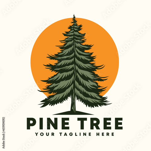 pine tree evergreen design, pine forest