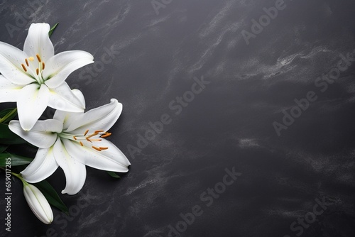 Beautiful white lily flowers on black background with copy space.Funeral Concept