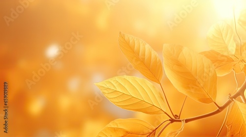 Beautiful autumn leaves. foliage on yellow background