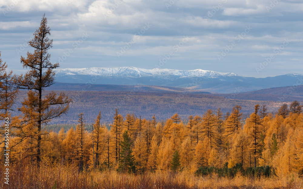 Stanovoy Ridge in autumn