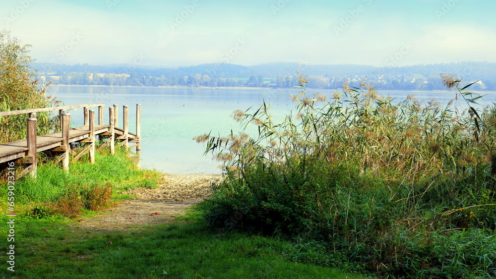 Fototapeta premium Ausblick von der Insel Reichenau auf den Bodensee mit Holzsteg, Schilf und Ufer an sonnigem Morgen