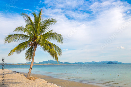 Single palm tree on beach © Sergii Figurnyi