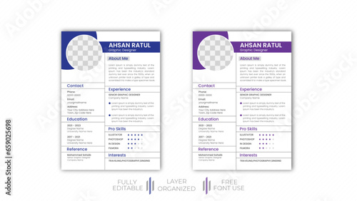 Sleek and Stylish Curriculum Vitae