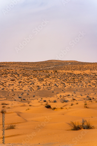 Desert in Tunisia