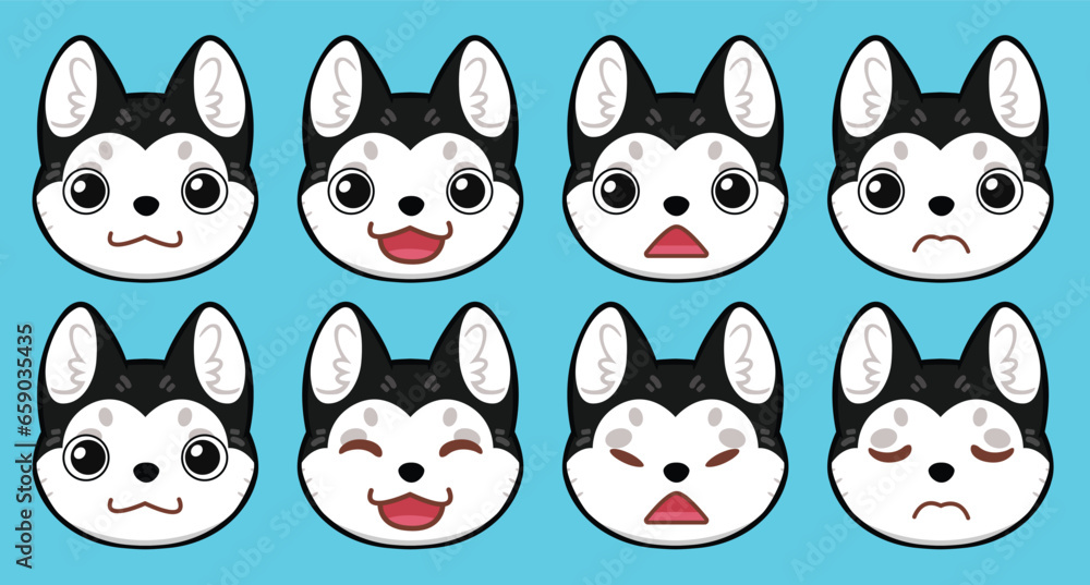 A beautiful cat face with different expressions A beautiful cat face with different expressions