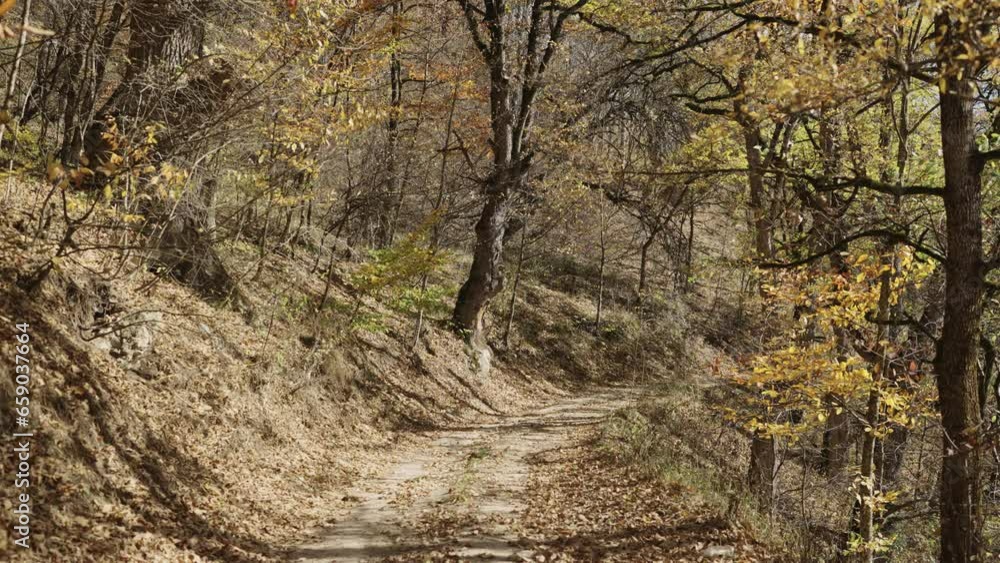 Slow motion establishing shot on a dusty mountain road in autumn forest Slow motion establishing shot on a dusty mountain road in autumn forest
