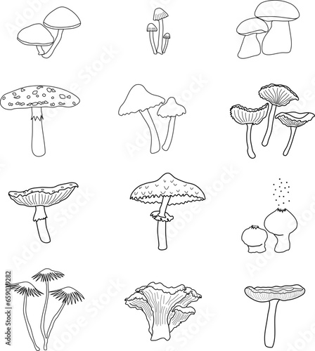 Hand drawn mushroom vector illustration set, mushrooms of various species, line art, autumn theme 