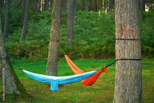 Hammock in the woods. Forest Retreat. Where Relaxation Meets Outdoors.