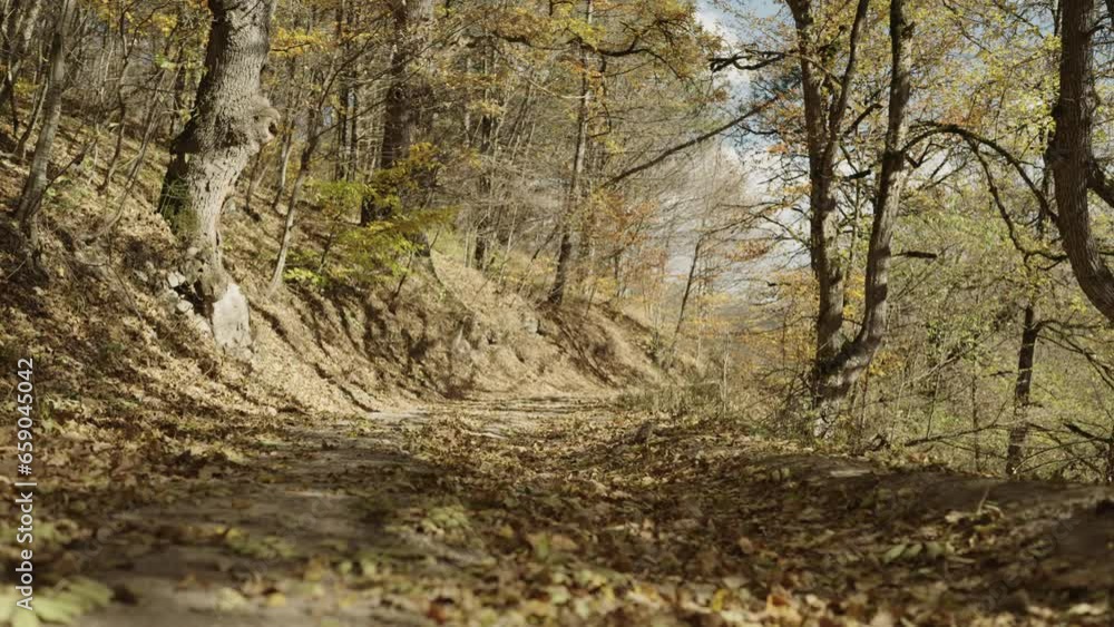 Slow motion establishing shot on a dusty mountain road in autumn forest Slow motion establishing shot on a dusty mountain road in autumn forest