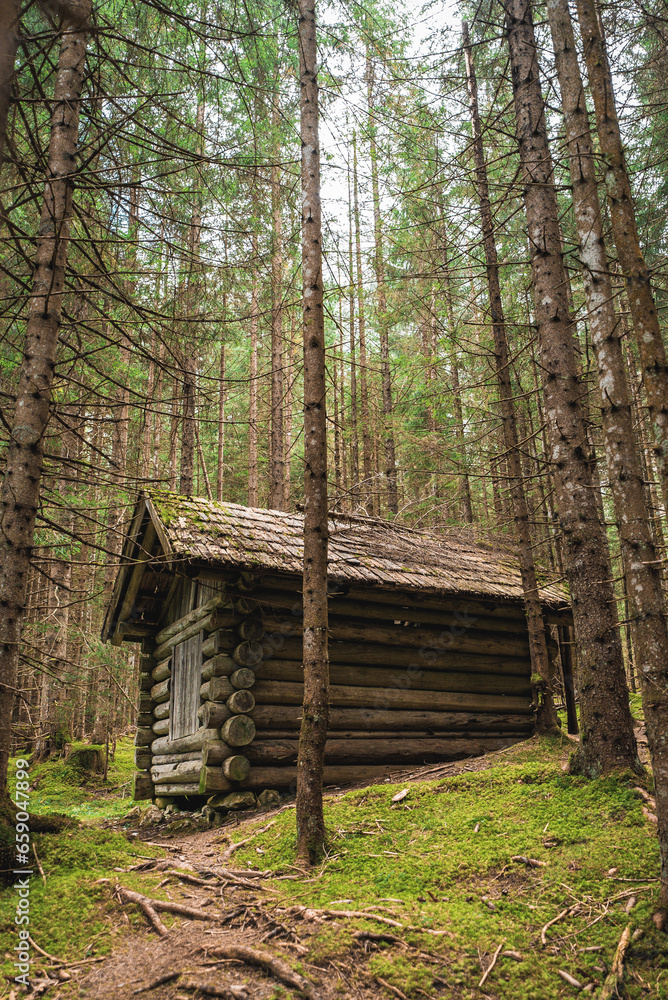 Mystical Hut in a Fairy Tale Forest Mystical Hut in a Fairy Tale Forest