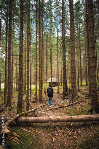 Single Hiker in a Fairy Tale Forest