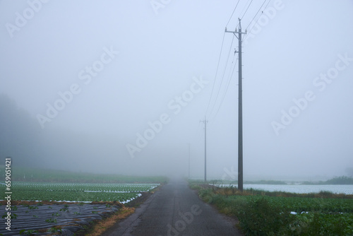 霧の風景