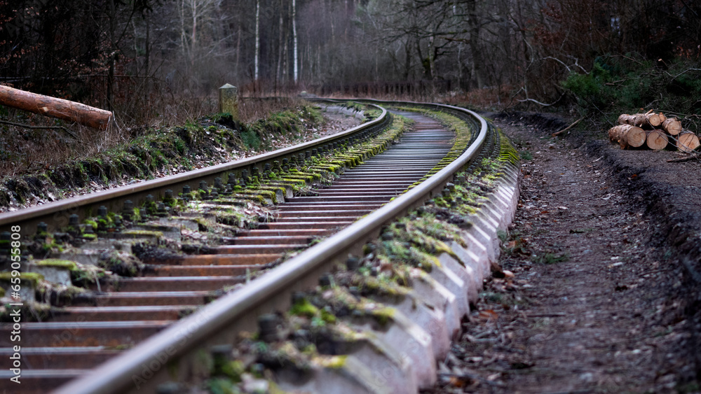 Obraz premium Tory kolejowe w lesie