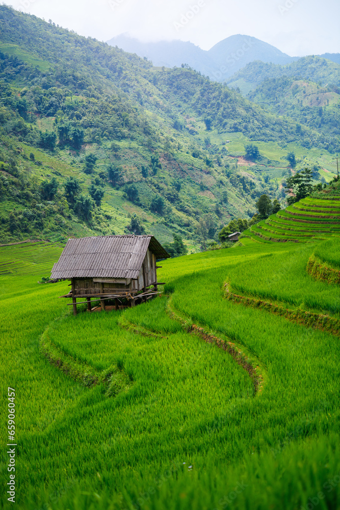 Rice terraces in northern Vietnam Rice terraces in northern Vietnam