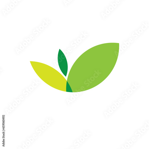 simple green leaf logo vector design