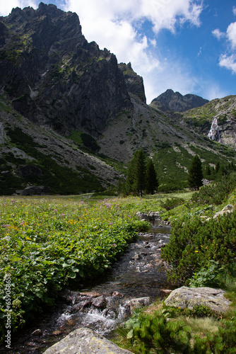 valley in the high tatras
