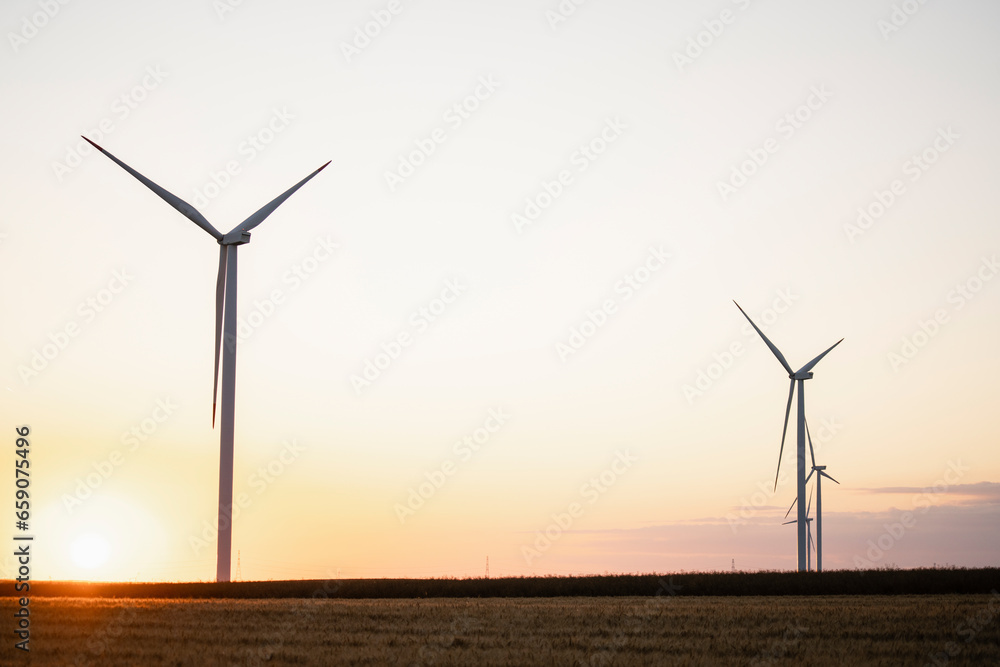 Agricultural field with wind turbines at sunset.