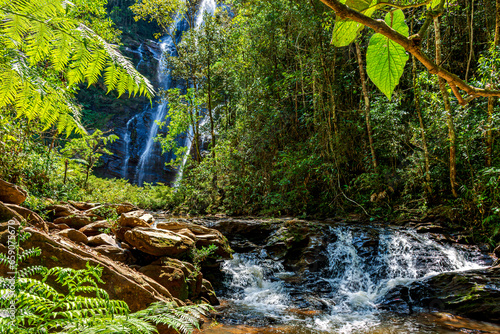 Rivers and waterfalls through dense forest vegetation in the state of Minas Gerais  Brazil