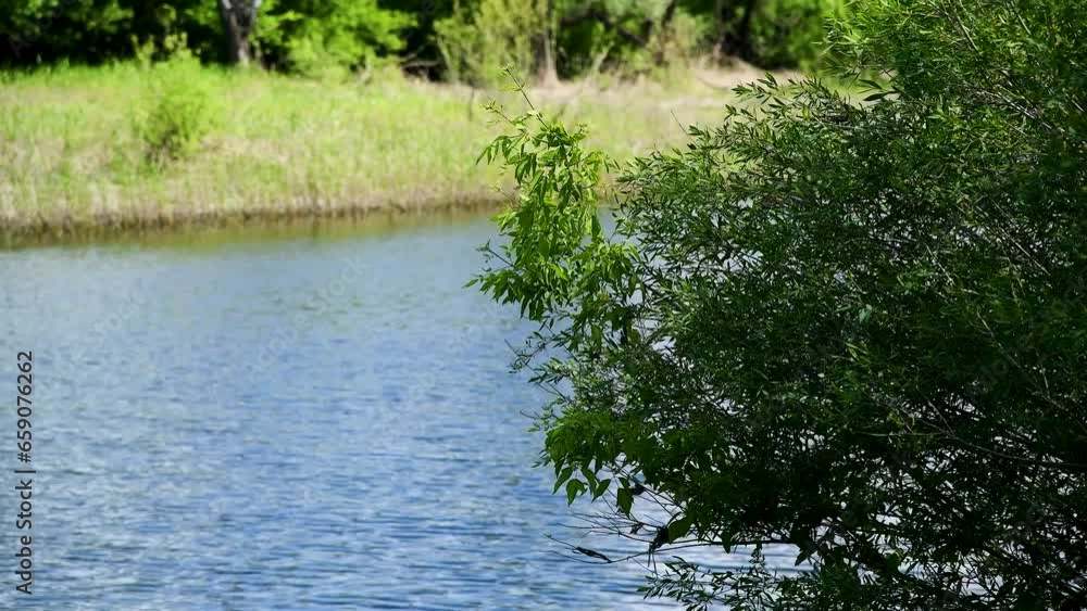 Picturesque places along the river, on a sunny summer day Picturesque places along the river, on a sunny summer day