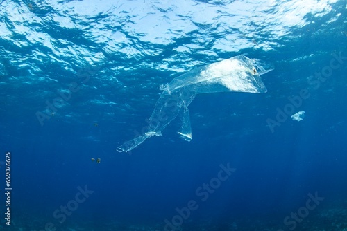 Plastic swimming in the ocean. We need to clean our oceans from plastic pollution. Reuse  Reduce  Recycle.