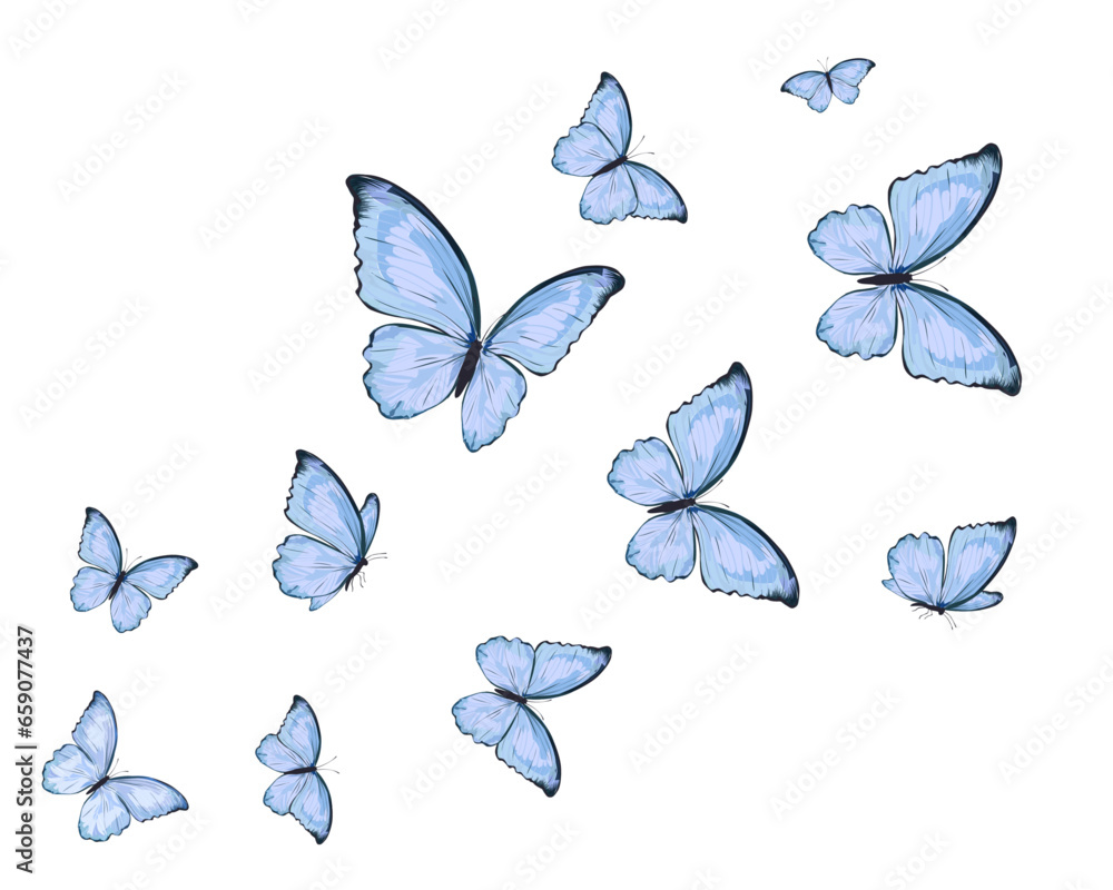 set of butterfly