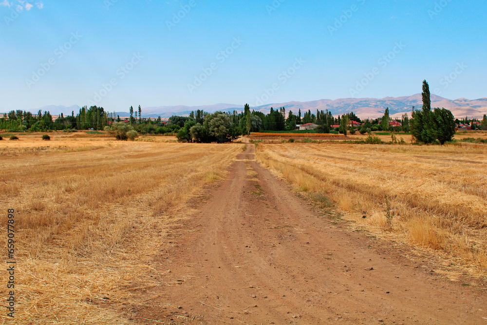 Agricultural field on which straw lies side of the dirt road. Harvest field with a dirt road passing by.