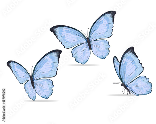  watercolor butterfly on white background  © gltekin