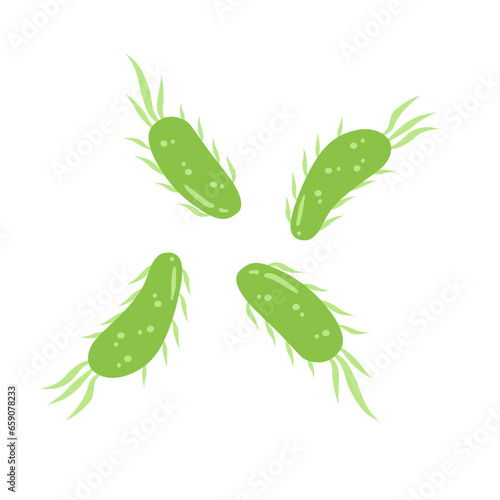 E. coli bacteria vector icon