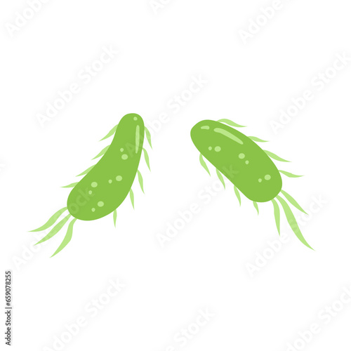 E. coli bacteria vector icon
