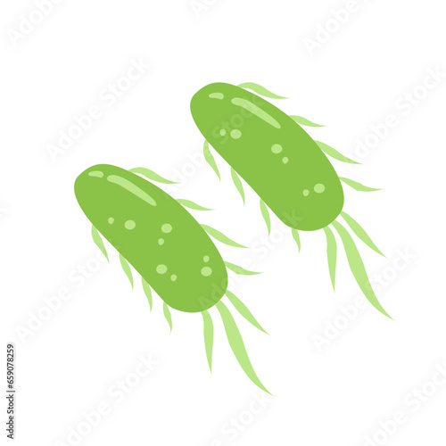 E. coli bacteria vector icon