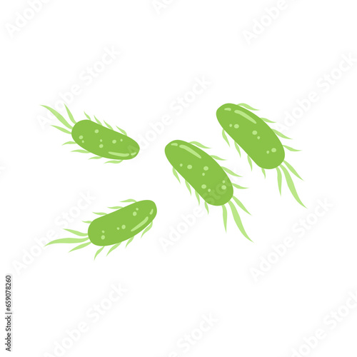 E. coli bacteria vector icon