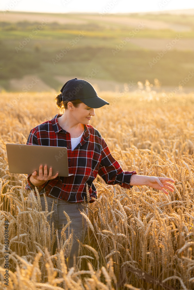 Woman farmer working with laptop on wheat field. Smart farming and digital agriculture.. Woman farmer working with laptop on wheat field. Smart farming and digital agriculture..