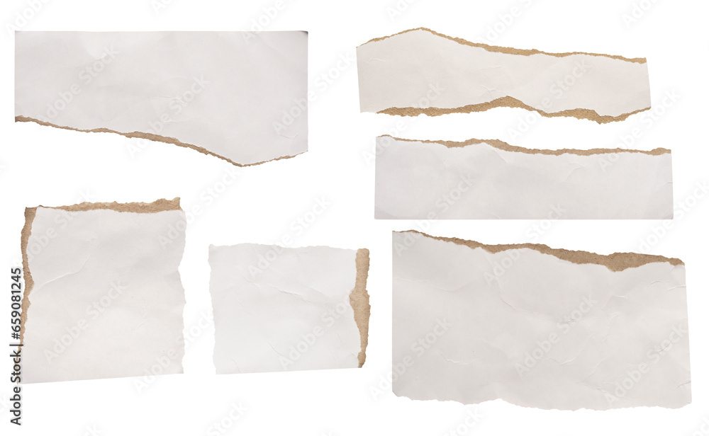 piece of white paper tear set collection isolated on white background