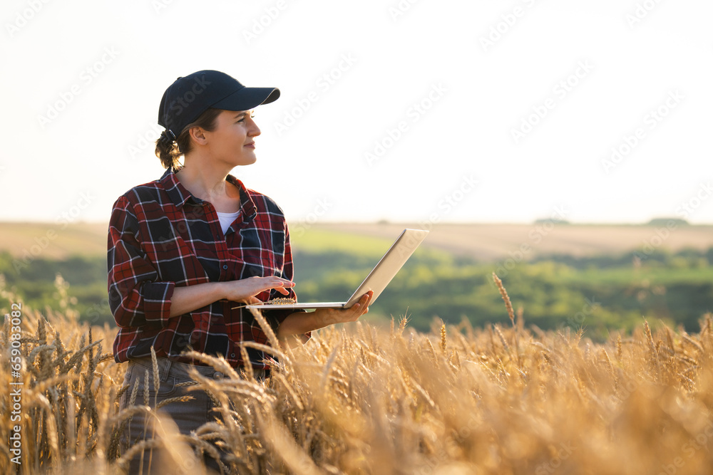 Woman farmer working with laptop on wheat field. Smart farming and digital agriculture..