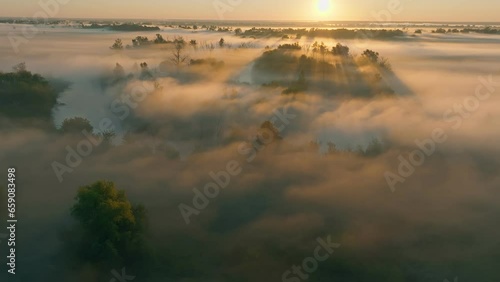 Fog nature sun morning river forest view lanscape travel foggy