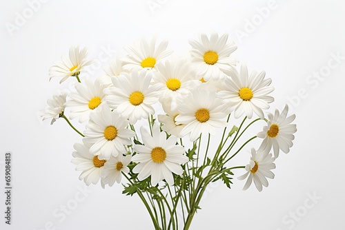 white daisy flowers and yellow chamomile, capturing the beauty of nature in summer.