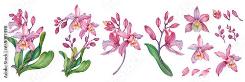 Pink orchid, Orchid aliment set with floral arrangements.