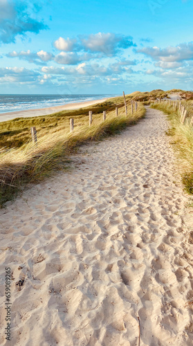 Dunes of Egmond aan Zee (Schoorlse Duinen) on the Dutch North Sea. Egmond aan Zee, the Netherlands, Europe. 
